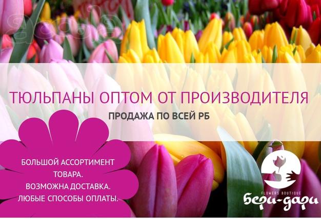 Тюльпаны оптом от производителя. Продажа по всей РБ.
